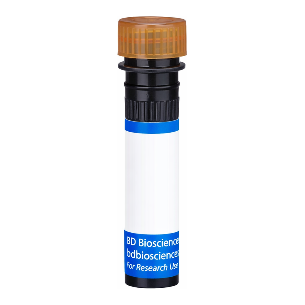 BD BB700 Rat Anti-Mouse Delta-Like Protein 1