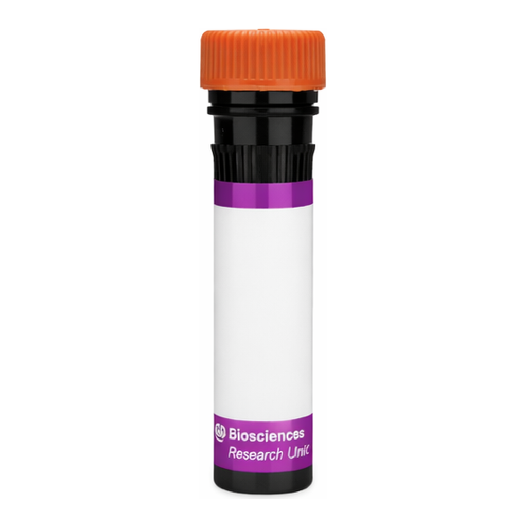 BD BV605 Mouse Anti-Rat CD42d