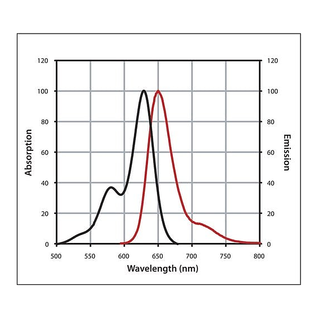 Merck Anti-Rat IgG (H+L), highly cross-adsorbed, CF(TM) 633 antibody produced in donkey
