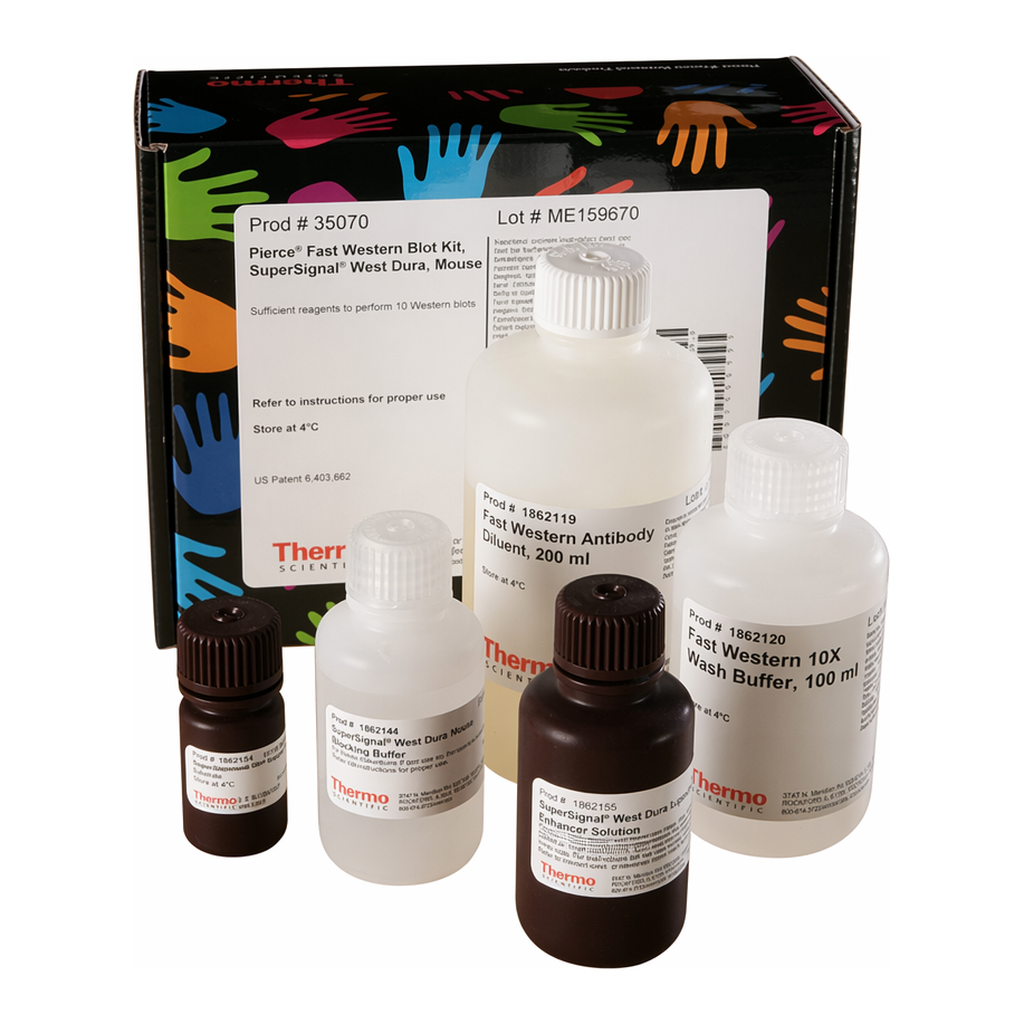 Thermo Fisher Scientific Pierce Fast Western Blot Kits, SuperSignal West Dura, Mouse