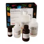 Thermo Fisher Scientific Pierce Fast Western Blot Kits, SuperSignal West Dura, Mouse