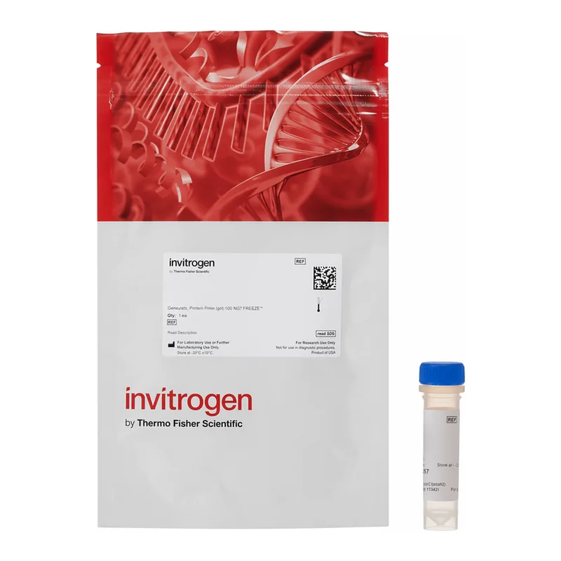Thermo Fisher Scientific Alexa Fluor 546 C5 Maleimide