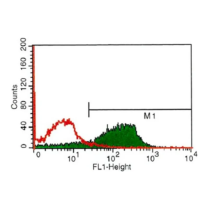 Merck Anti-Endothelial Cell Protein C Receptor antibody, Rat monoclonal