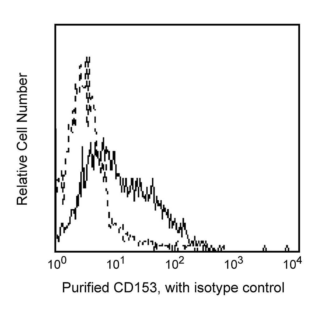 BD Purified Mouse Anti-Human CD153