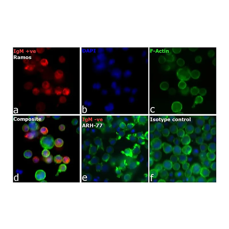 Thermo Fisher Scientific Goat anti-Human IgM Cross-Adsorbed Secondary Antibody, DyLight 680
