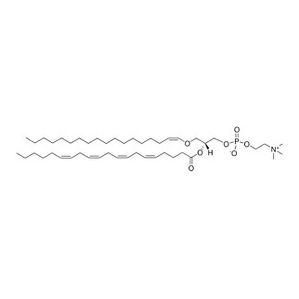Merck C18(PLASM)-20:4 PC