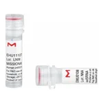 Merck MISSION(R) esiRNA