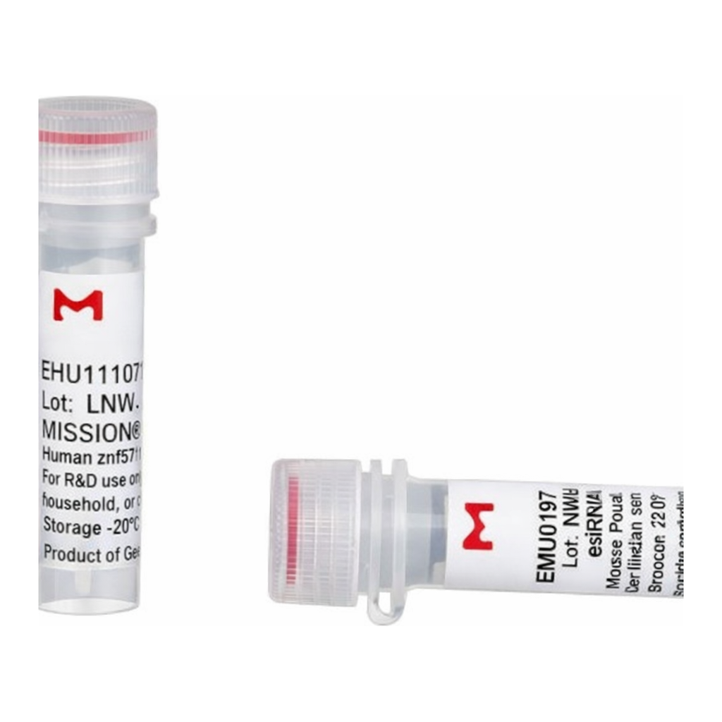 Merck MISSION(R) esiRNA