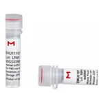 Merck MISSION(R) esiRNA