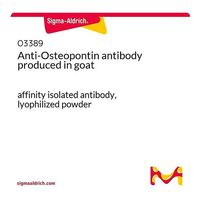 Merck Anti-Osteopontin antibody produced in goat