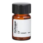 Thermo Fisher Scientific BODIPY FL-C5 NHS Ester (Succinimidyl Ester)