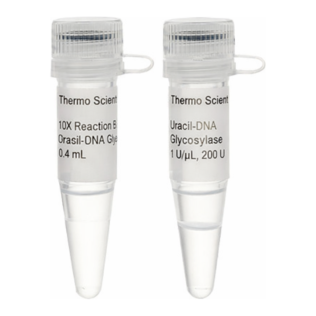 Thermo Fisher Scientific Uracil-DNA Glycosylase (1 U/μL), 200 units