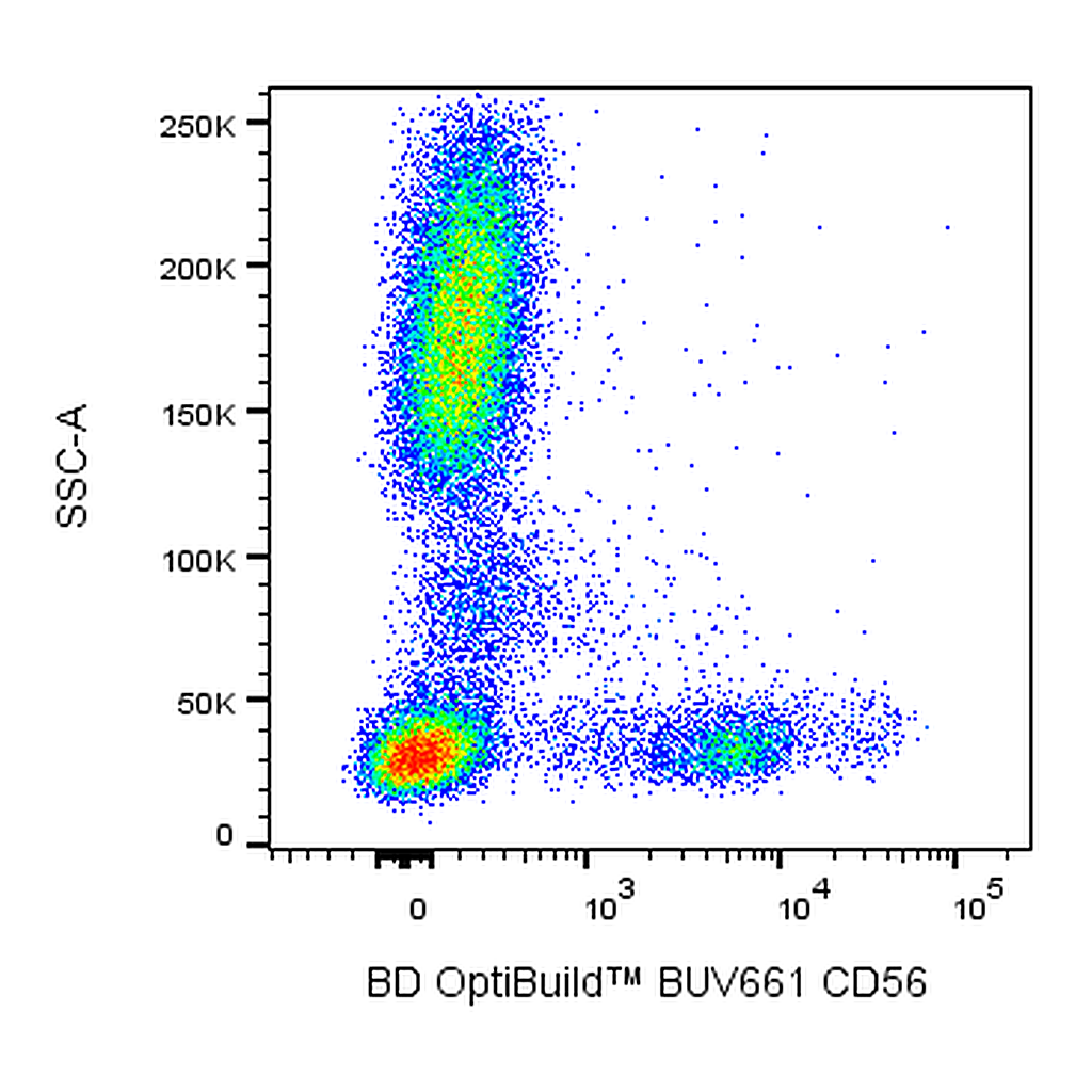BD BUV661 Mouse Anti-Human CD56