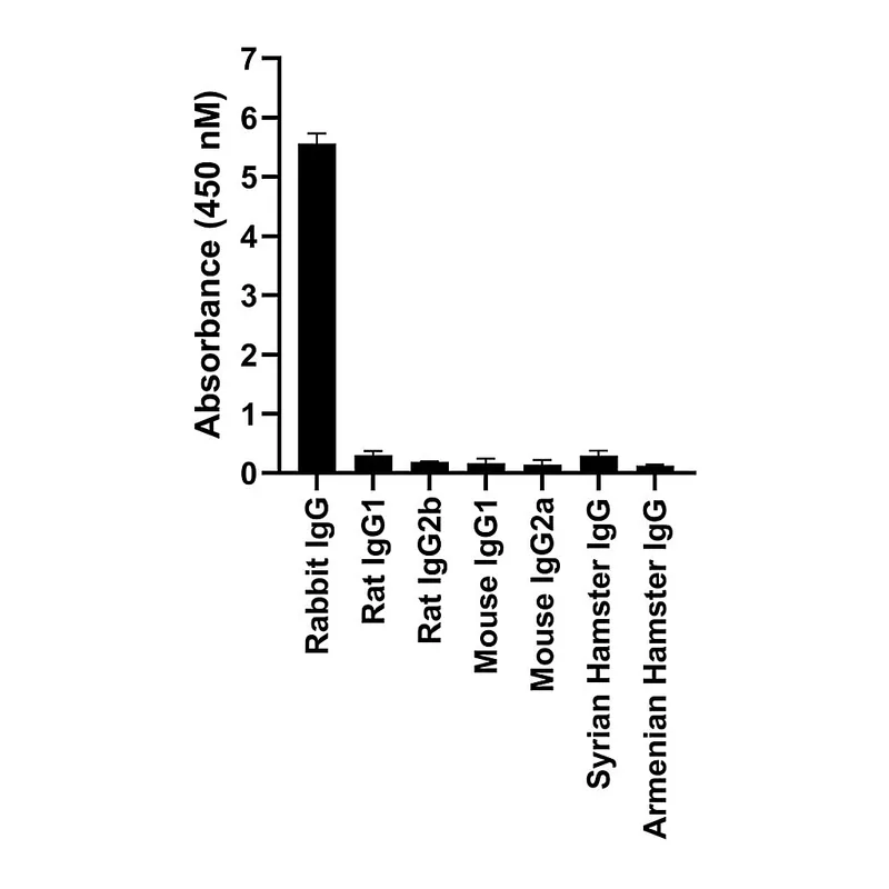Thermo Fisher Scientific Goat anti-Rabbit IgG Fc, Cross-Adsorbed Secondary Antibody, Alexa Fluor 568