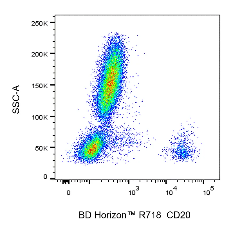 BD R718 Mouse Anti-Human CD20