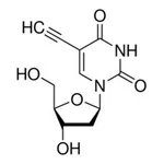 Merck 5-ETHYNYL-2``-DEOXYURIDINE