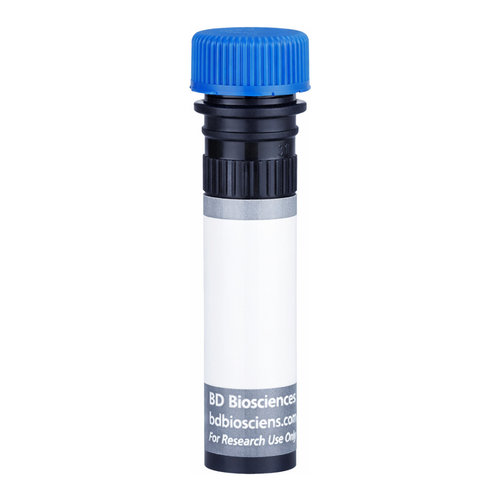 BD BUV496 Rat Anti-Mouse Ig, κ light chain