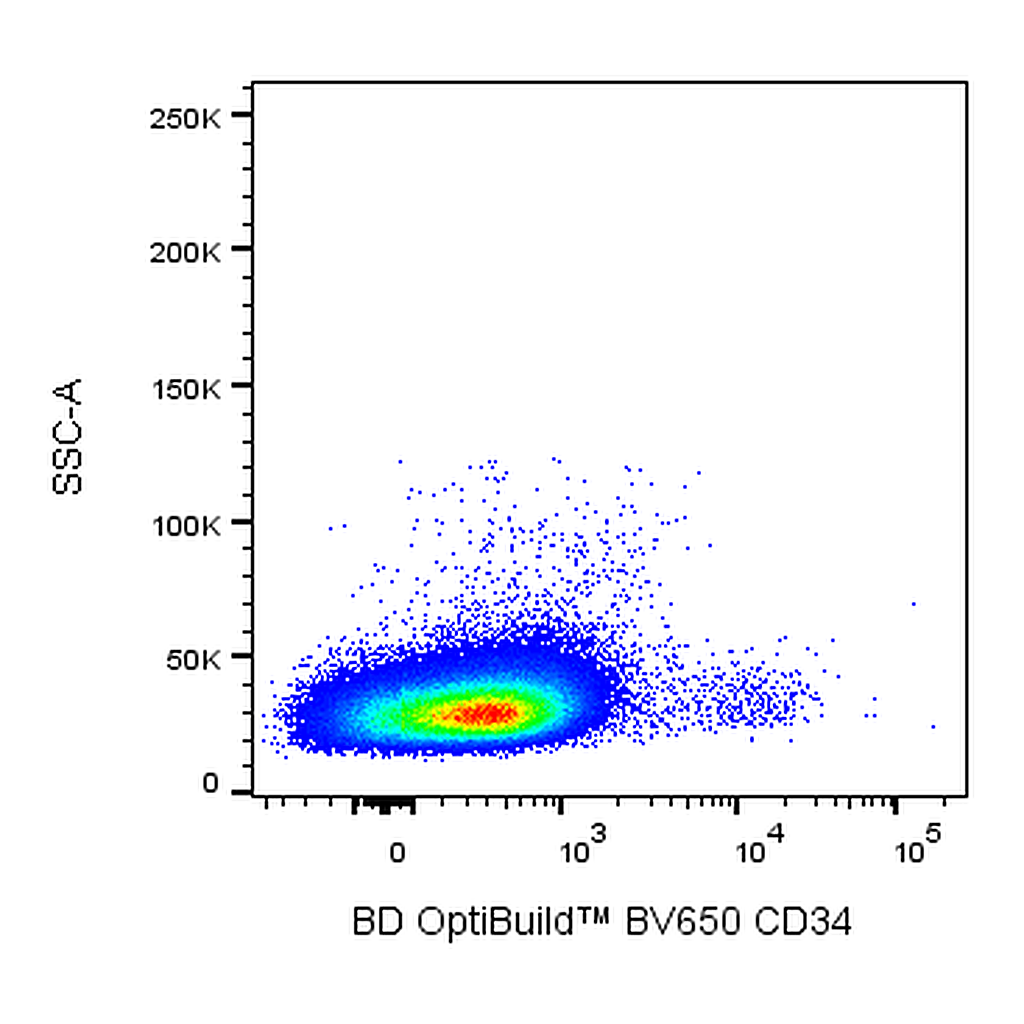 BD BV650 Mouse Anti-Human CD34