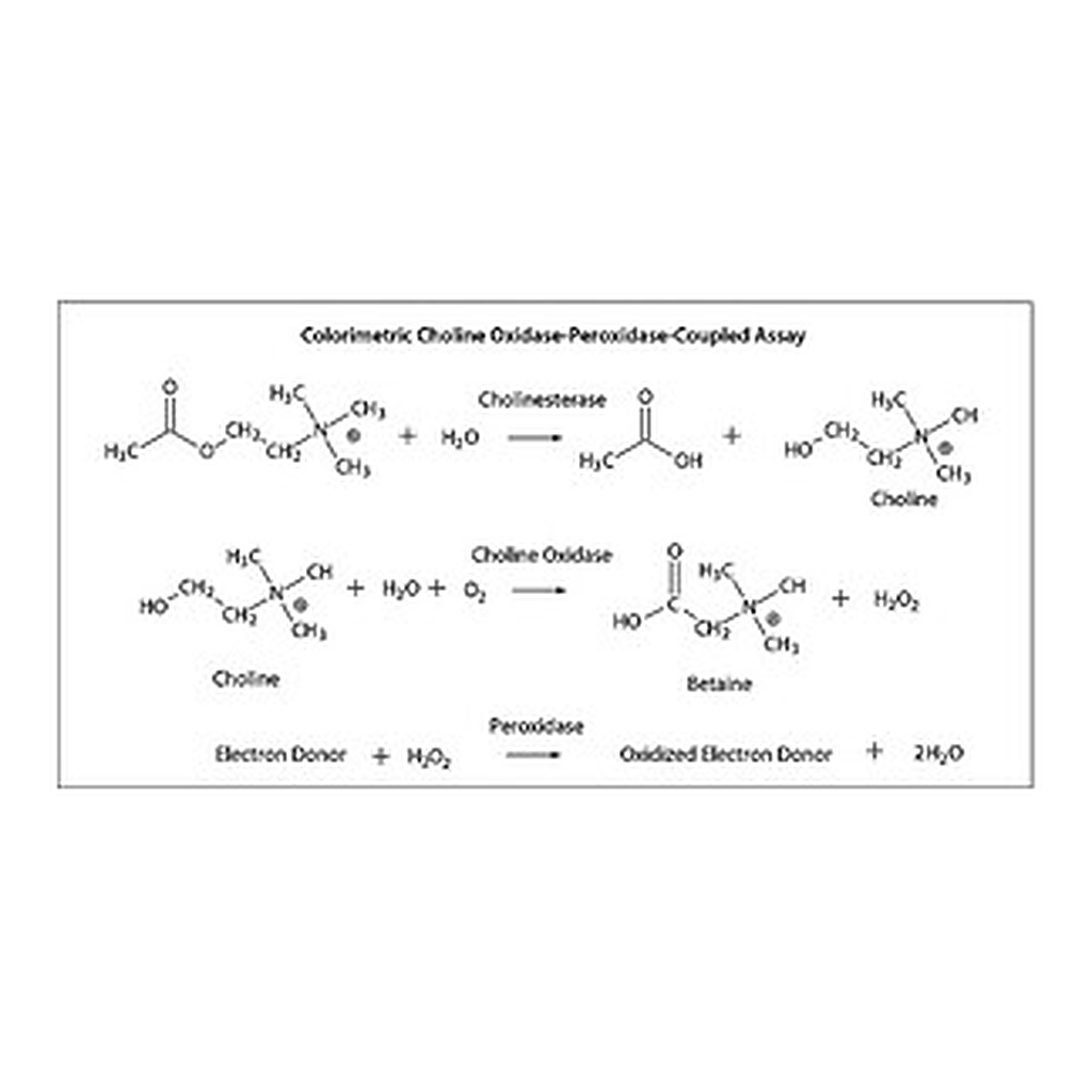 Merck CHOLINE OXIDASE FROM ARTHROBACTER SP.