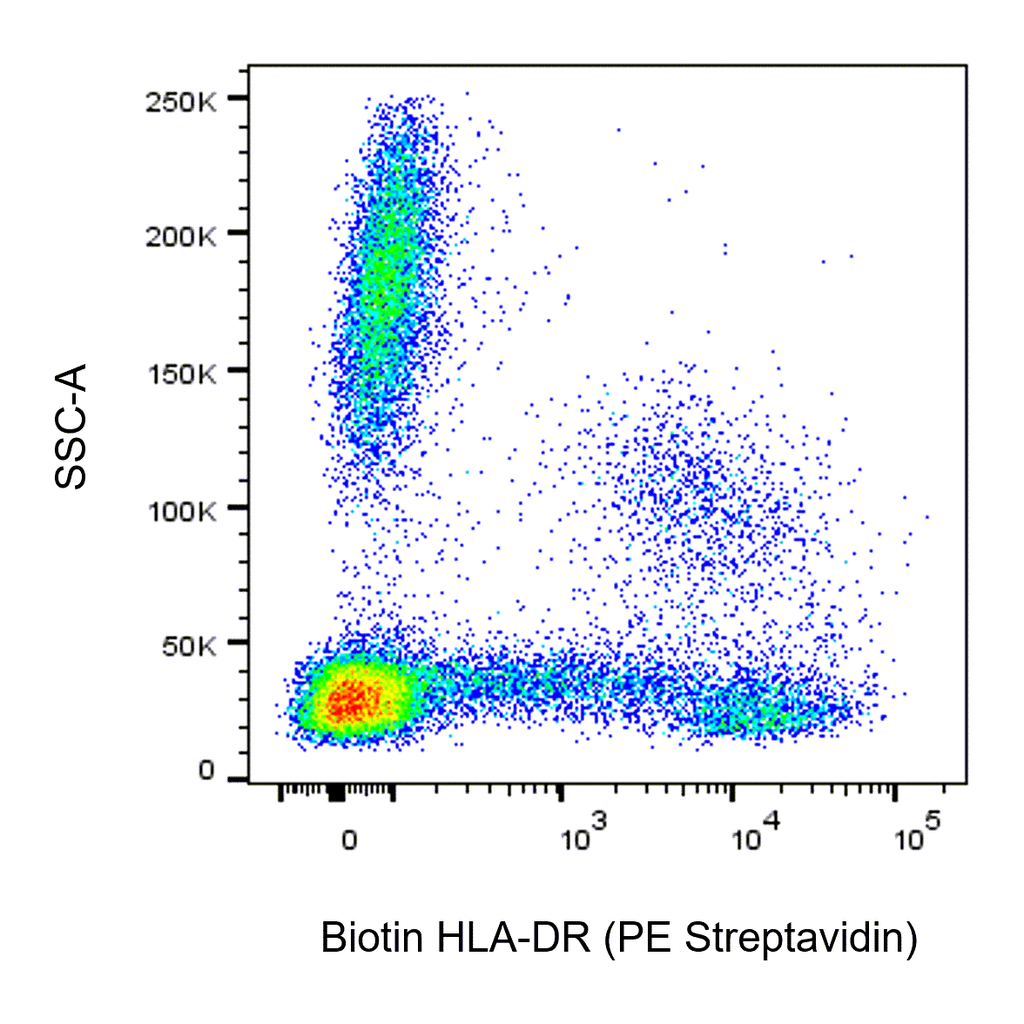BD Biotin Mouse Anti-Human HLA-DR