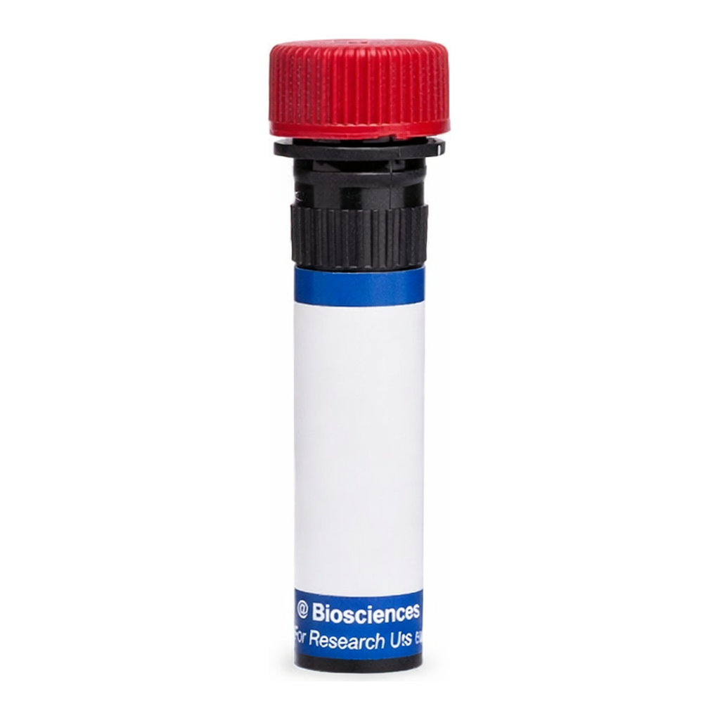BD PE Rat Anti-Mouse TER-119/Erythroid Cells