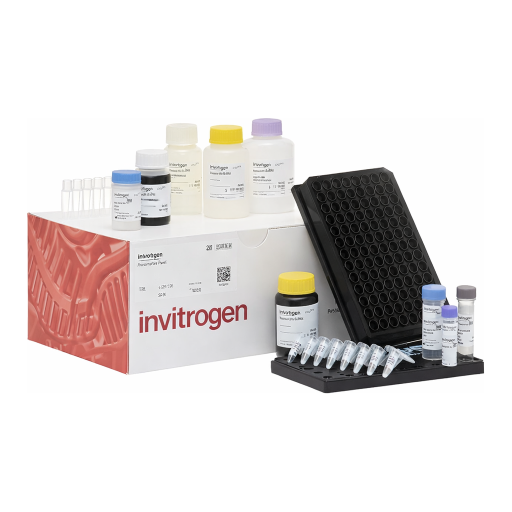 Thermo Fisher Scientific ProcartaPlex Human Apoptosis Panel, 6plex