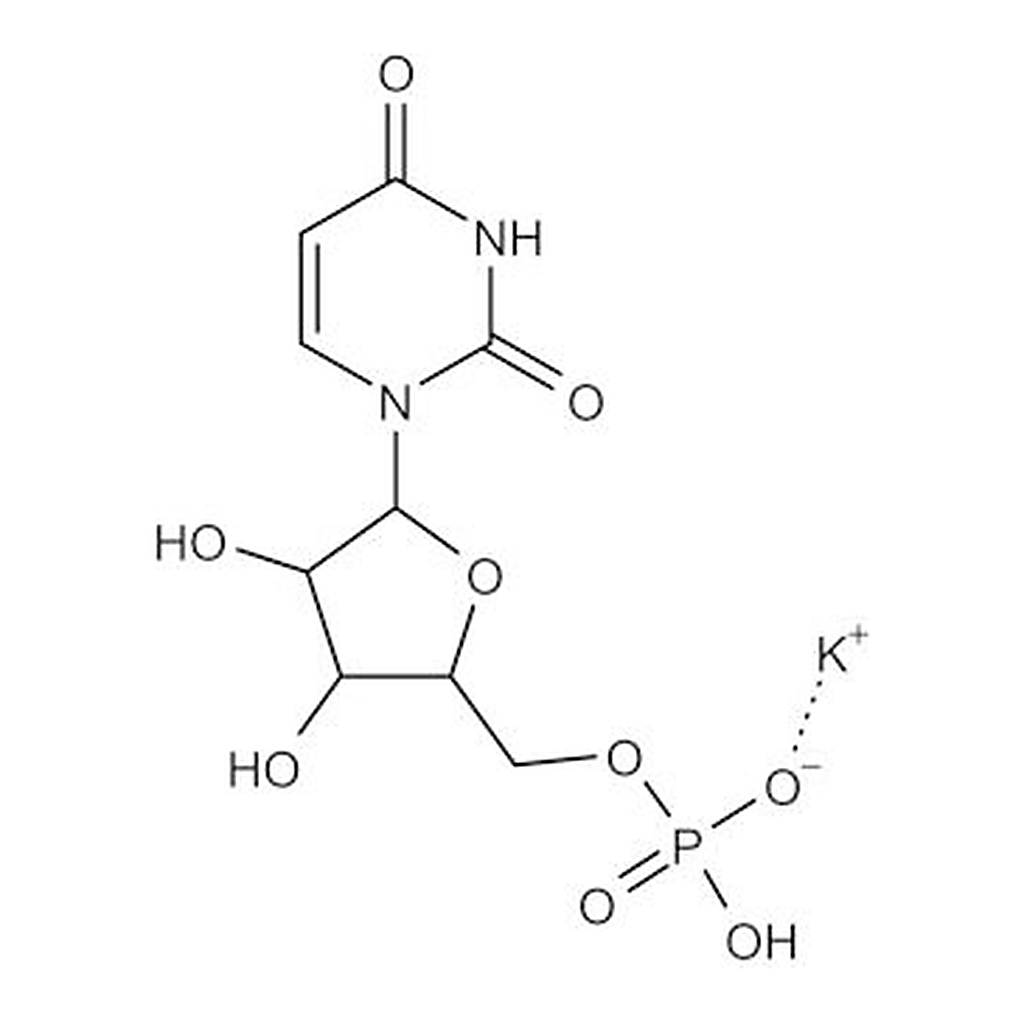 Merck POLYURIDYLIC ACID (5``) POTASSIUM