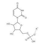 Merck POLYURIDYLIC ACID (5``) POTASSIUM