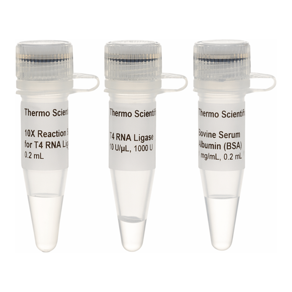 Thermo Fisher Scientific T4 RNA Ligase (10 U/μL)