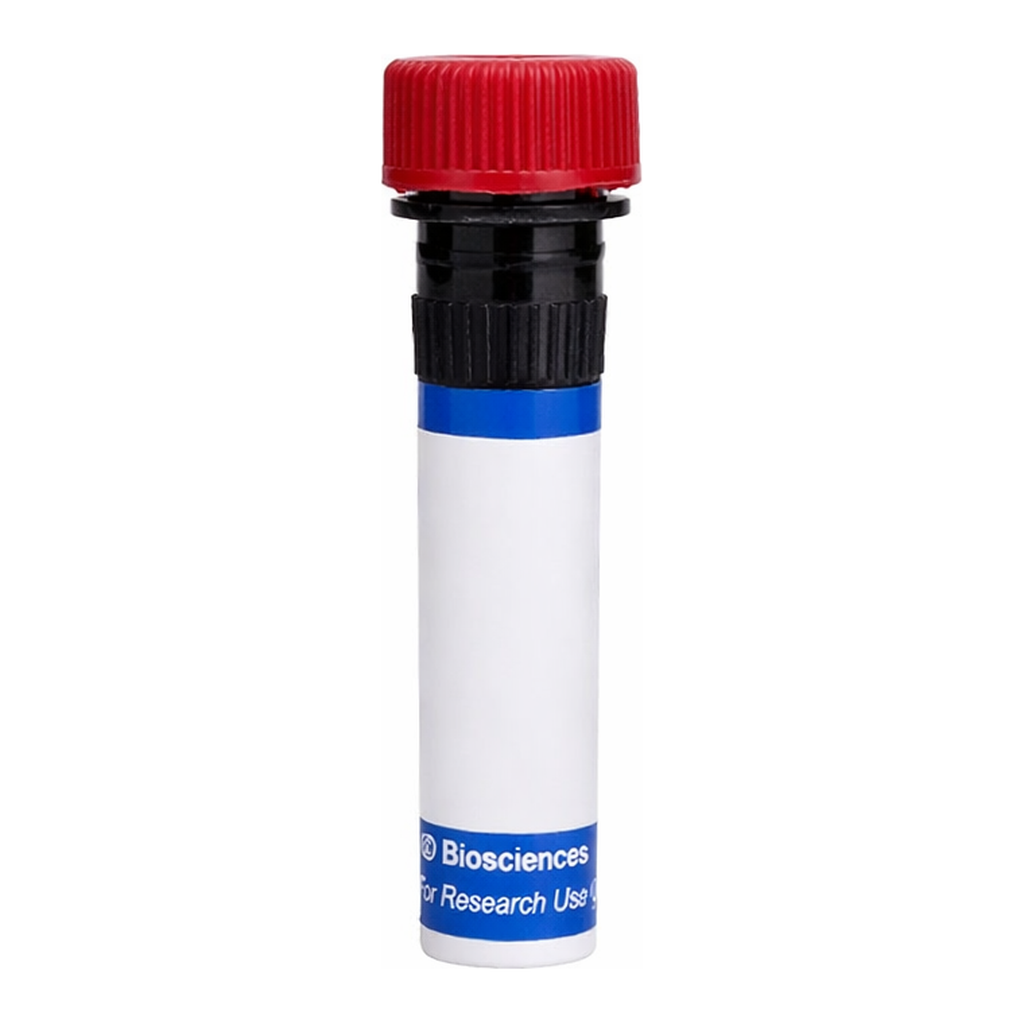 BD RB670 Mouse Anti-Rat CD71 (Transferrin Receptor)