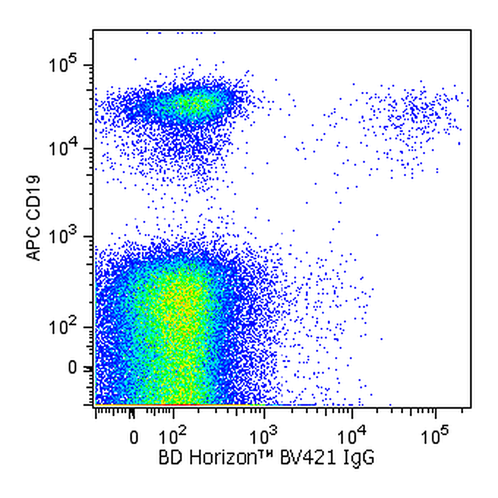 BD BV421 Mouse Anti-Human IgG