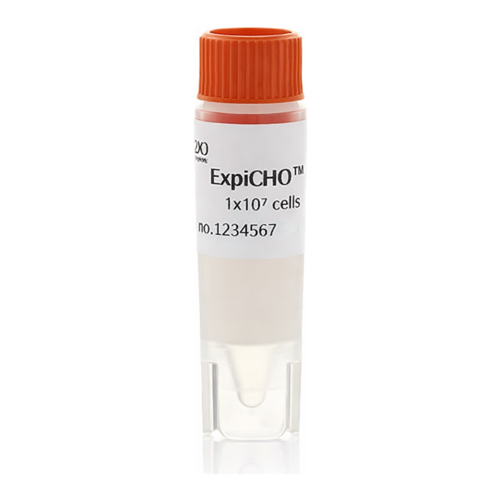 Thermo Fisher Scientific ExpiCHO-S Cells