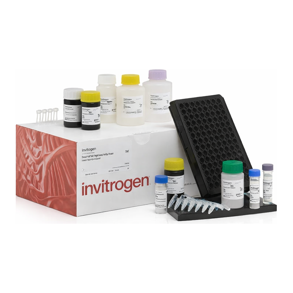 Thermo Fisher Scientific ProcartaPlex Human High Sensitivity Panel, 9plex