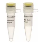 Thermo Fisher Scientific NcoI (10 U/μL), 500 units
