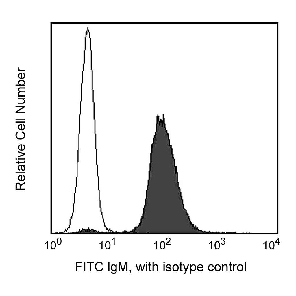 BD FITC Rat Anti-Mouse IgM