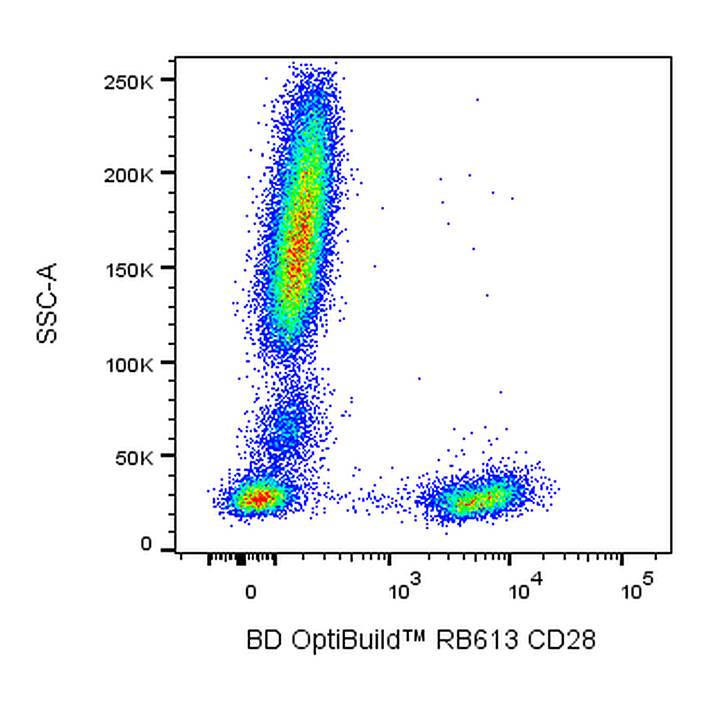 BD RB613 Mouse Anti-Human CD28