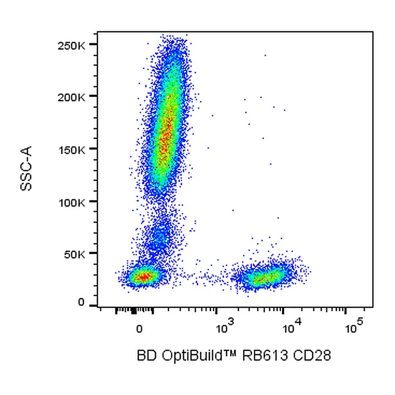 BD RB613 Mouse Anti-Human CD28
