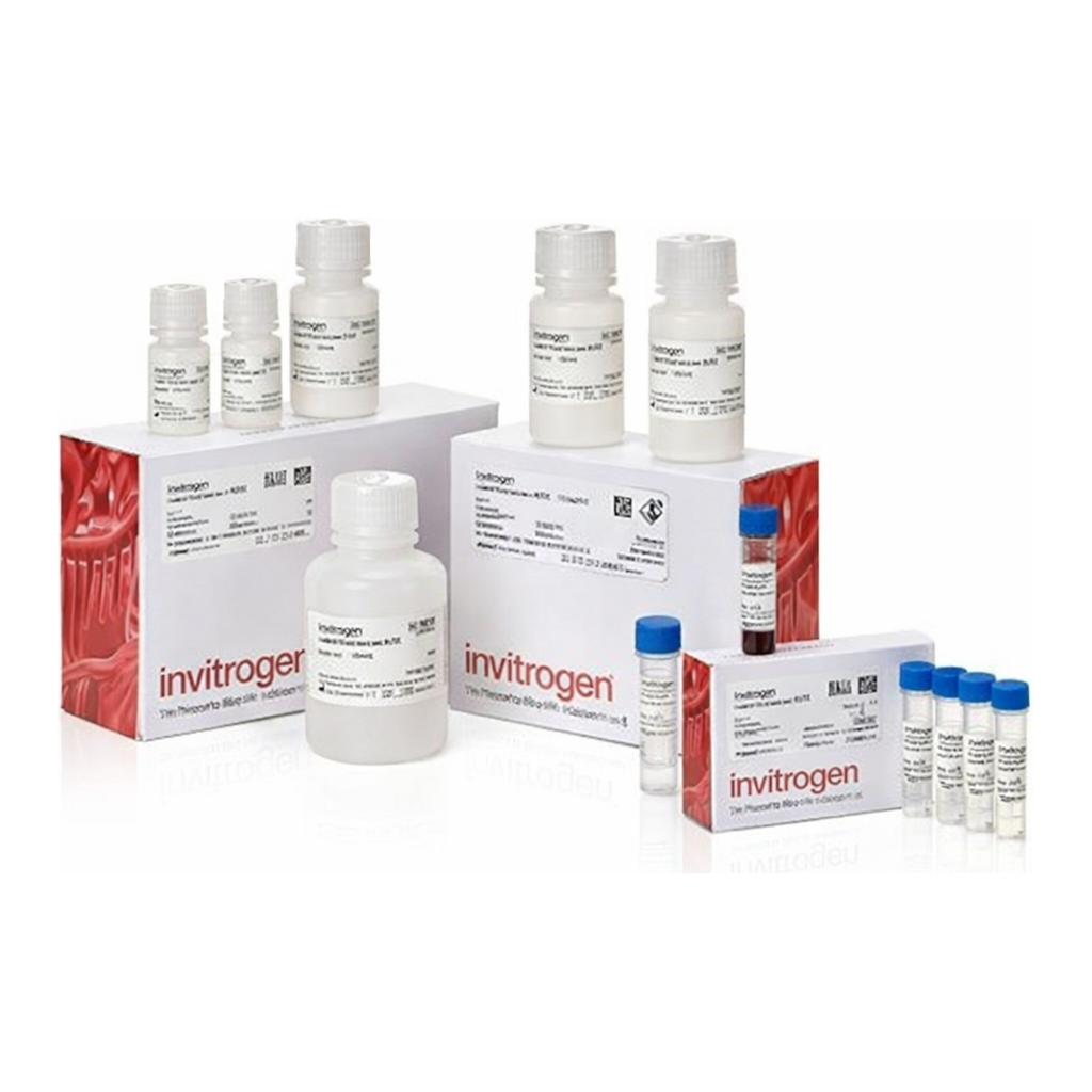 Thermo Fisher Scientific ViewRNA HC Screening Assay Kit