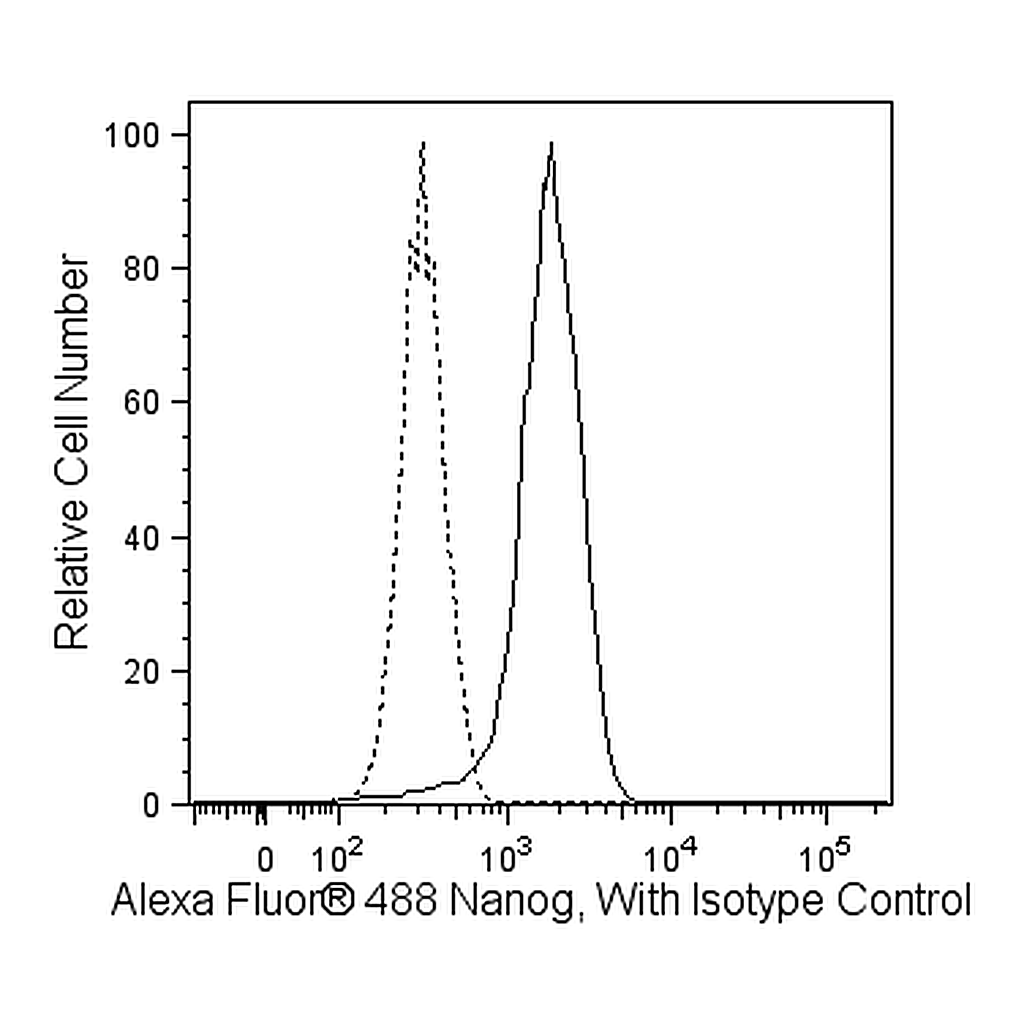 BD Alexa Fluor® 488 Mouse anti-Human Nanog