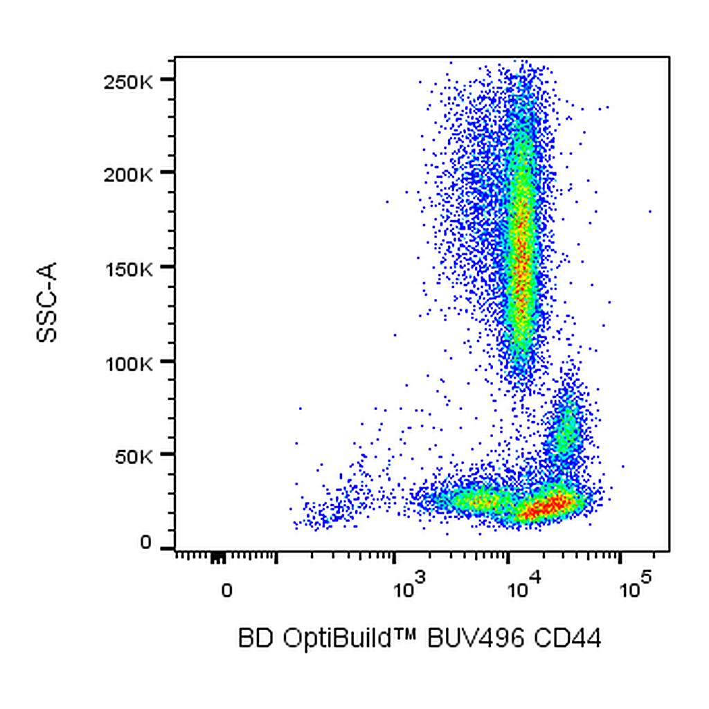 BD BUV496 Mouse Anti-Human CD44