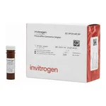 Thermo Fisher Scientific SARS-CoV-2 Spike Brazil (P.1) Ig Total Human ProcartaPlex Simplex Kit
