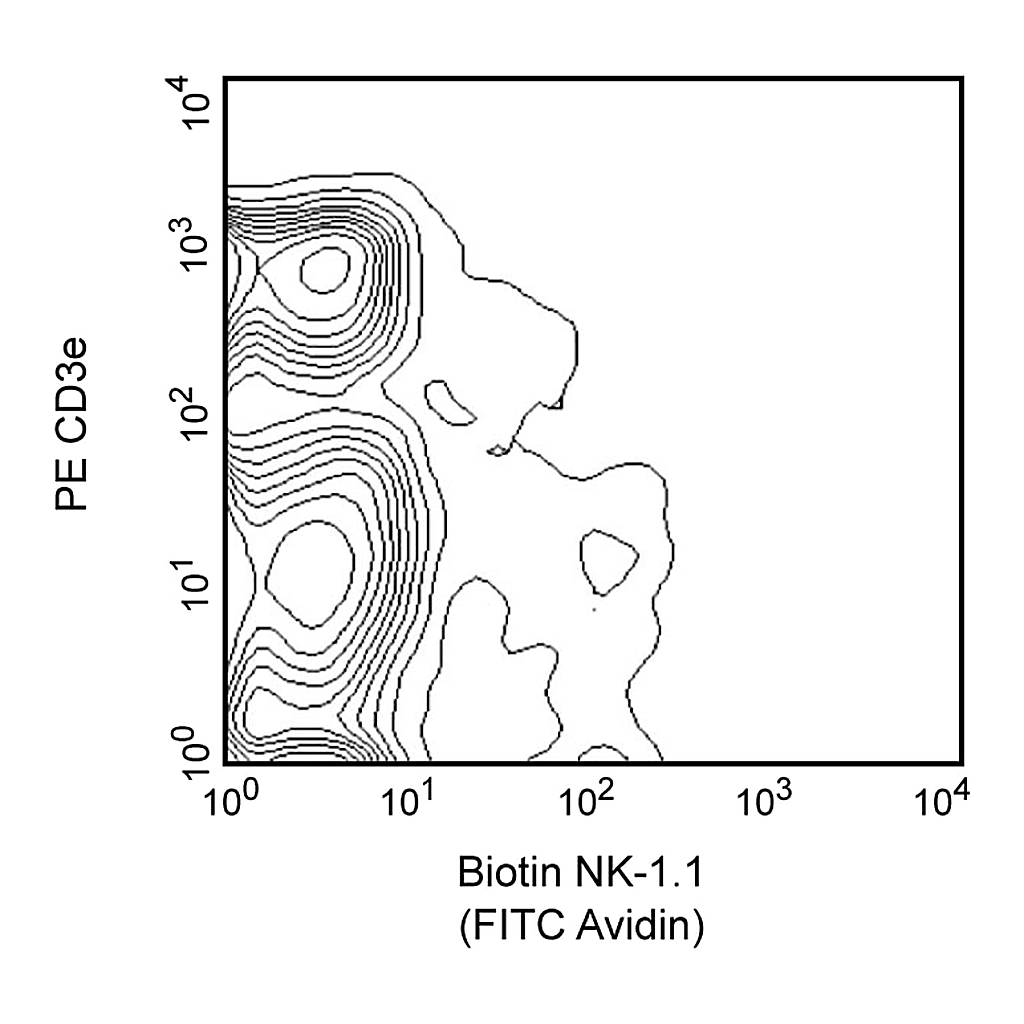 BD Biotin Mouse Anti-Mouse NK-1.1