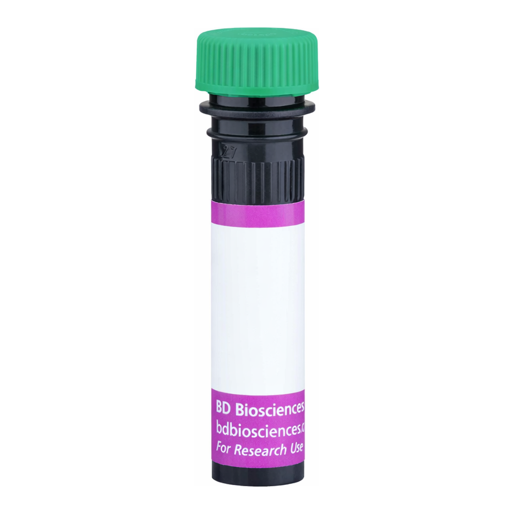 BD BV480 Rat Anti-Mouse Vα 8.3 T-Cell Receptor