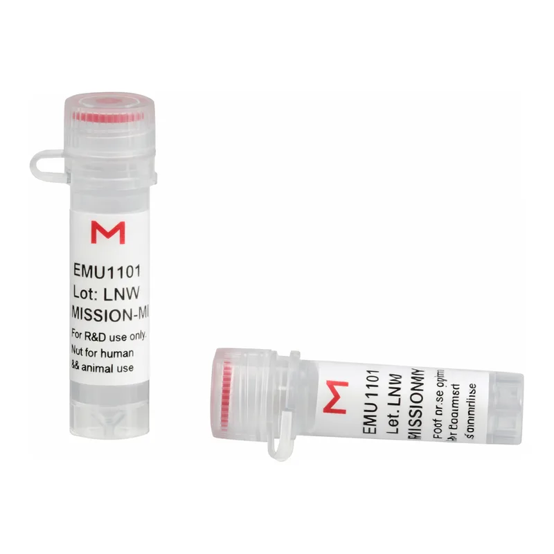 Merck ESIRNA HUMAN SLC12A5