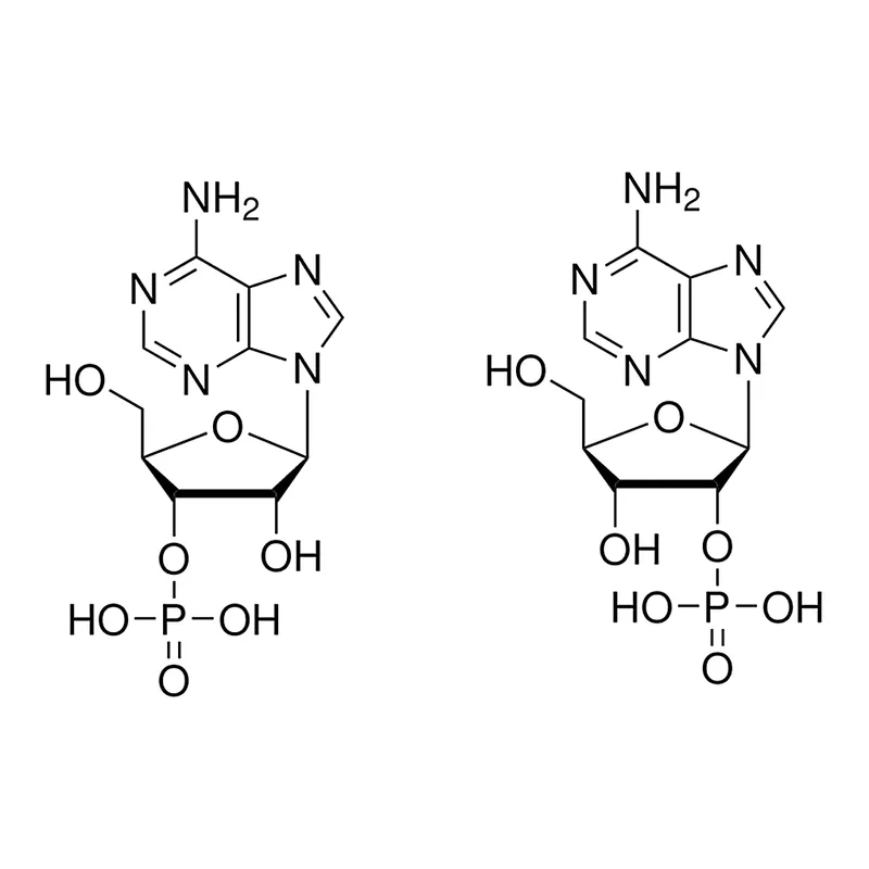 Merck Adenosine 2'(3')-monophosphate mixed isomers