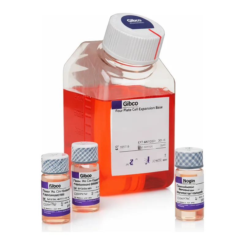 Thermo Fisher Scientific PSC Dopaminergic Neuron Differentiation Kit