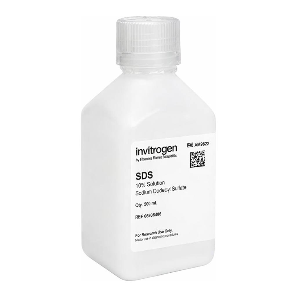 Thermo Fisher Scientific SDS, 10% Solution, RNase-free, 500 mL