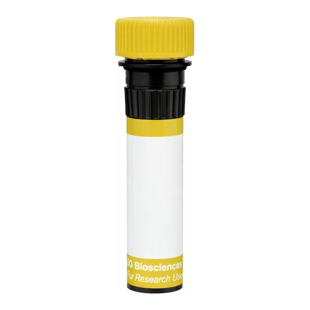 BD RY586 Biosimilar Anti-Human CD20