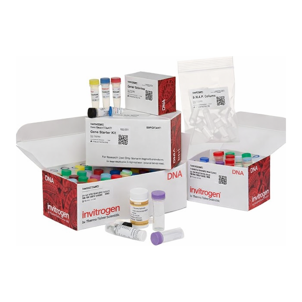 Thermo Fisher Scientific GeneRacer Kit with SuperScript III RT and Zero Blunt TOPO PCR Cloning Kit for Sequencing