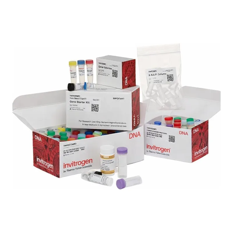 Thermo Fisher Scientific GeneRacer Kit with SuperScript III RT and Zero Blunt TOPO PCR Cloning Kit for Sequencing